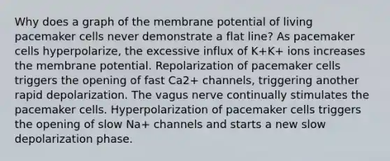 Why does a graph of the membrane potential of living pacemaker cells never demonstrate a flat line? As pacemaker cells hyperpolarize, the excessive influx of K+K+ ions increases the membrane potential. Repolarization of pacemaker cells triggers the opening of fast Ca2+ channels, triggering another rapid depolarization. The vagus nerve continually stimulates the pacemaker cells. Hyperpolarization of pacemaker cells triggers the opening of slow Na+ channels and starts a new slow depolarization phase.