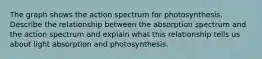 The graph shows the action spectrum for photosynthesis. Describe the relationship between the absorption spectrum and the action spectrum and explain what this relationship tells us about light absorption and photosynthesis.