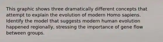 This graphic shows three dramatically different concepts that attempt to explain the evolution of modern Homo sapiens. Identify the model that suggests modern human evolution happened regionally, stressing the importance of gene flow between groups.