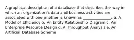 A graphical description of a database that describes the way in which an organization's data and business activities are associated with one another is known as _______________: a. A Model of Efficiency b. An Entity Relationship Diagram c. An Enterprise Resource Design d. A Throughput Analysis e. An Artificial Database Scheme