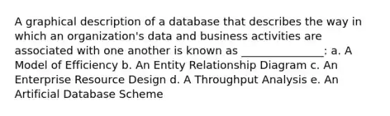 A graphical description of a database that describes the way in which an organization's data and business activities are associated with one another is known as _______________: a. A Model of Efficiency b. An Entity Relationship Diagram c. An Enterprise Resource Design d. A Throughput Analysis e. An Artificial Database Scheme