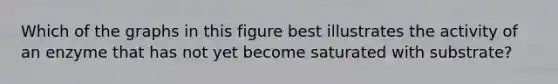 Which of the graphs in this figure best illustrates the activity of an enzyme that has not yet become saturated with substrate?