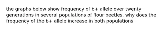 the graphs below show frequency of b+ allele over twenty generations in several populations of flour beetles. why does the frequency of the b+ allele increase in both populations