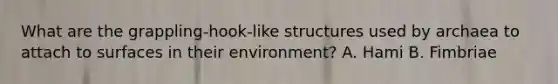 What are the grappling-hook-like structures used by archaea to attach to surfaces in their environment? A. Hami B. Fimbriae