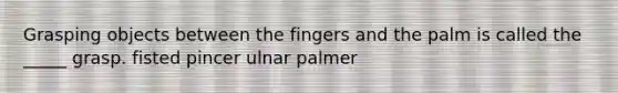 Grasping objects between the fingers and the palm is called the _____ grasp. fisted pincer ulnar palmer