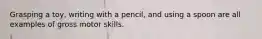 Grasping a toy, writing with a pencil, and using a spoon are all examples of gross motor skills.