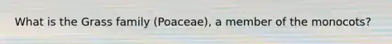 What is the Grass family (Poaceae), a member of the monocots?