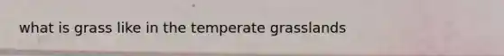 what is grass like in the temperate grasslands