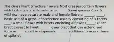 The Grass Plant Structure Flowers Most grasses contain flowers with both male and female parts:_____. Some grasses Corn & wild rice have separate male and female flowers: ______. _____: basic unit of a grass inflorescence usually consisting of 3 florets. ____: a small flower with bracts enclosing a flower (_____: upper bract closest to floret. _____: lower bract that can extend and form an ____ to aid in dispersal). ______: additional bracts at base of spikelet