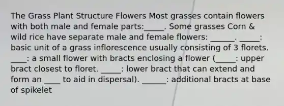 The Grass Plant Structure Flowers Most grasses contain flowers with both male and female parts:_____. Some grasses Corn & wild rice have separate male and female flowers: ______. _____: basic unit of a grass inflorescence usually consisting of 3 florets. ____: a small flower with bracts enclosing a flower (_____: upper bract closest to floret. _____: lower bract that can extend and form an ____ to aid in dispersal). ______: additional bracts at base of spikelet