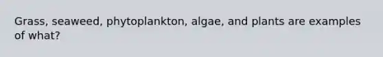 Grass, seaweed, phytoplankton, algae, and plants are examples of what?