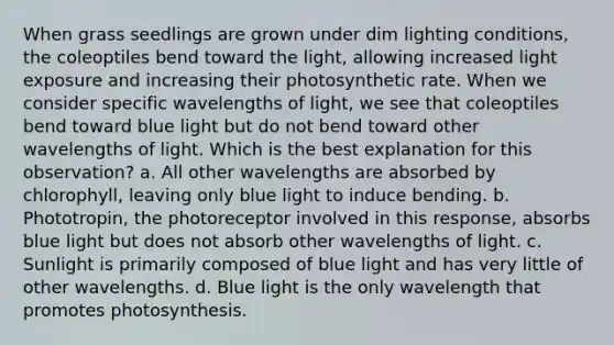 When grass seedlings are grown under dim lighting conditions, the coleoptiles bend toward the light, allowing increased light exposure and increasing their photosynthetic rate. When we consider specific wavelengths of light, we see that coleoptiles bend toward blue light but do not bend toward other wavelengths of light. Which is the best explanation for this observation? a. All other wavelengths are absorbed by chlorophyll, leaving only blue light to induce bending. b. Phototropin, the photoreceptor involved in this response, absorbs blue light but does not absorb other wavelengths of light. c. Sunlight is primarily composed of blue light and has very little of other wavelengths. d. Blue light is the only wavelength that promotes photosynthesis.