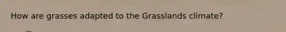 How are grasses adapted to the Grasslands climate?