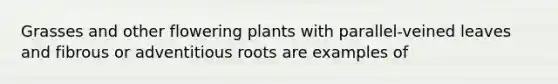 Grasses and other flowering plants with parallel-veined leaves and fibrous or adventitious roots are examples of