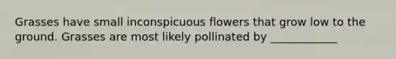 Grasses have small inconspicuous flowers that grow low to the ground. Grasses are most likely pollinated by ____________