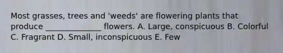 Most grasses, trees and 'weeds' are flowering plants that produce ______________ flowers. A. Large, conspicuous B. Colorful C. Fragrant D. Small, inconspicuous E. Few