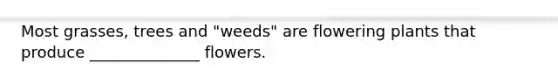 Most grasses, trees and "weeds" are flowering plants that produce ______________ flowers.