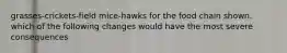 grasses-crickets-field mice-hawks for the food chain shown. which of the following changes would have the most severe consequences