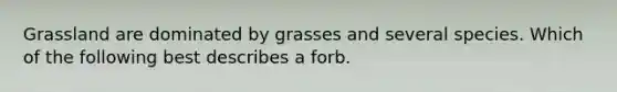 Grassland are dominated by grasses and several species. Which of the following best describes a forb.