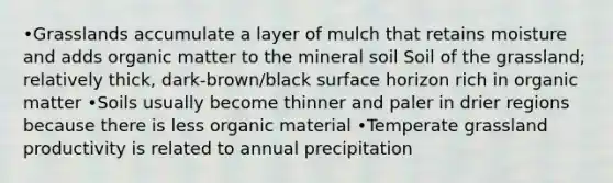 •Grasslands accumulate a layer of mulch that retains moisture and adds organic matter to the mineral soil Soil of the grassland; relatively thick, dark-brown/black surface horizon rich in organic matter •Soils usually become thinner and paler in drier regions because there is less organic material •Temperate grassland productivity is related to annual precipitation