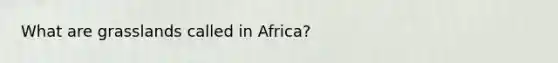 What are grasslands called in Africa?