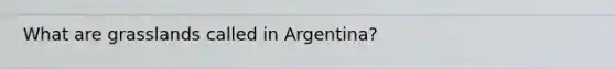 What are grasslands called in Argentina?