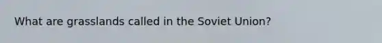 What are grasslands called in the <a href='https://www.questionai.com/knowledge/kmhoGLx3kx-soviet-union' class='anchor-knowledge'>soviet union</a>?