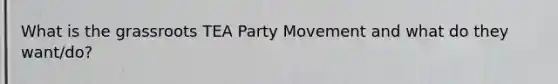 What is the grassroots TEA Party Movement and what do they want/do?