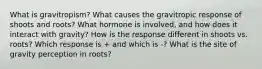 What is gravitropism? What causes the gravitropic response of shoots and roots? What hormone is involved, and how does it interact with gravity? How is the response different in shoots vs. roots? Which response is + and which is -? What is the site of gravity perception in roots?