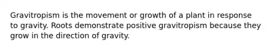 Gravitropism is the movement or growth of a plant in response to gravity. Roots demonstrate positive gravitropism because they grow in the direction of gravity.