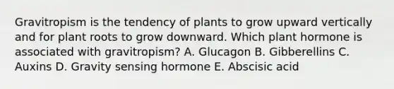 Gravitropism is the tendency of plants to grow upward vertically and for plant roots to grow downward. Which plant hormone is associated with gravitropism? A. Glucagon B. Gibberellins C. Auxins D. Gravity sensing hormone E. Abscisic acid