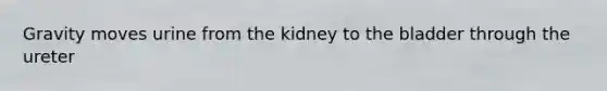 Gravity moves urine from the kidney to the bladder through the ureter