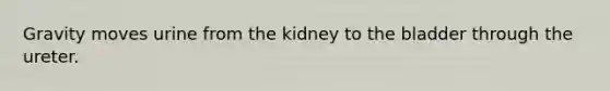 Gravity moves urine from the kidney to the bladder through the ureter.