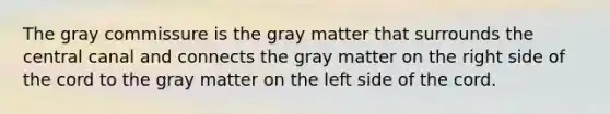 The gray commissure is the gray matter that surrounds the central canal and connects the gray matter on the right side of the cord to the gray matter on the left side of the cord.