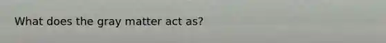 What does the gray matter act as?