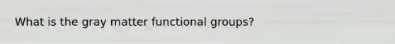 What is the gray matter functional groups?