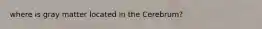where is gray matter located in the Cerebrum?