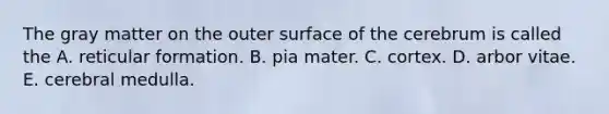 The gray matter on the outer surface of the cerebrum is called the A. reticular formation. B. pia mater. C. cortex. D. arbor vitae. E. cerebral medulla.