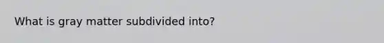 What is gray matter subdivided into?