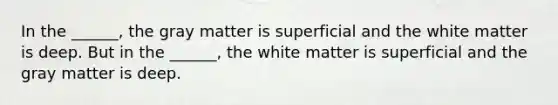 In the ______, the gray matter is superficial and the white matter is deep. But in the ______, the white matter is superficial and the gray matter is deep.