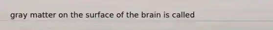 gray matter on the surface of the brain is called