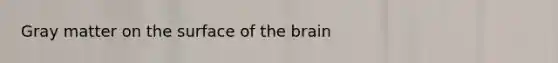 Gray matter on the surface of the brain