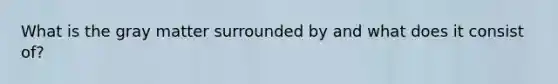 What is the gray matter surrounded by and what does it consist of?