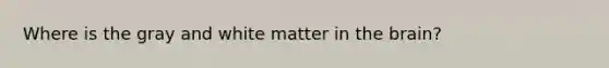 Where is the gray and white matter in the brain?