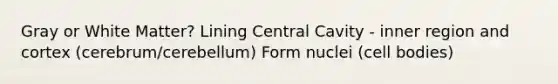 Gray or White Matter? Lining Central Cavity - inner region and cortex (cerebrum/cerebellum) Form nuclei (cell bodies)