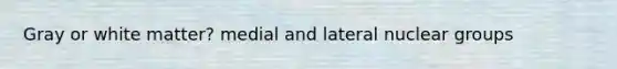 Gray or white matter? medial and lateral nuclear groups