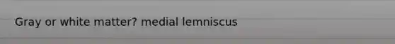 Gray or white matter? medial lemniscus