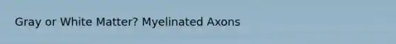 Gray or White Matter? Myelinated Axons