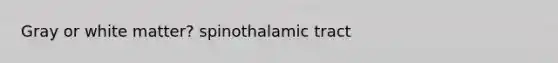 Gray or white matter? spinothalamic tract