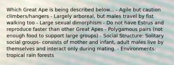 Which Great Ape is being described below... - Agile but caution climbers/hangers - Largely arboreal, but males travel by fist walking too - Large sexual dimorphism - Do not have Estrus and reproduce faster than other Great Apes - Polygamous pairs (not enough food to support large groups) - Social Structure: Solitary <a href='https://www.questionai.com/knowledge/ktC4lbKwl5-social-groups' class='anchor-knowledge'>social groups</a>- consists of mother and infant, adult males live by themselves and interact only during mating. - Environments: tropical rain forests